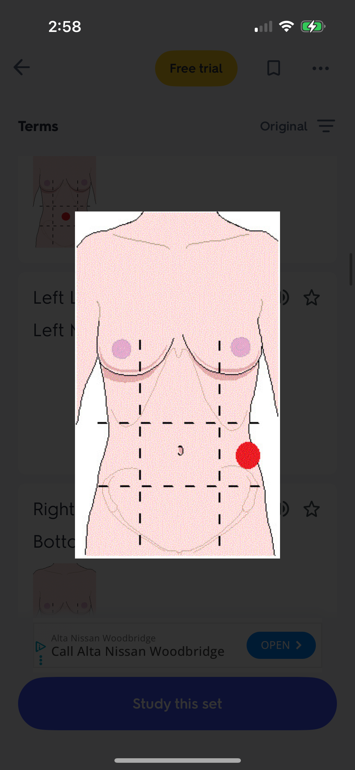 knowt flashcard image
