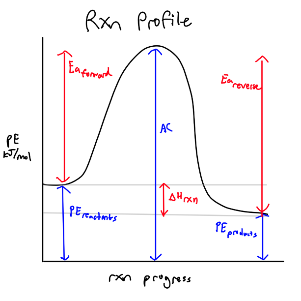 <p>LABEL:</p><ol><li><p>x-axis (Rxn Progress)</p></li><li><p>y-axis (PE) [kJ/mol]</p></li><li><p>PE<sub>reactants</sub></p></li><li><p>PE<sub>products</sub></p></li><li><p>Ea (forward and reverse)</p></li><li><p>AC (activation complex)</p></li><li><p>Enthalpy (ΔH<sub>rxn</sub>)</p></li></ol><p></p>