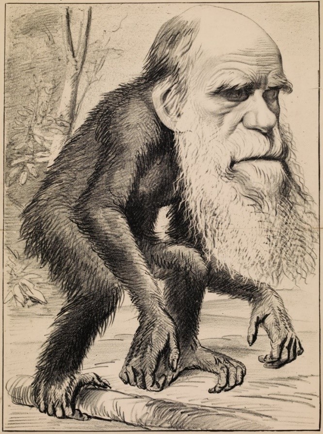 <p><mark data-color="red">Charles Darwin </mark>en de principes van biologische evolutie</p>