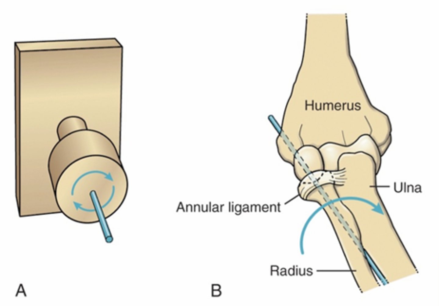 <p>1 DOF, 1 axis of rotation<br>ANgular motion is parallel to axis of rotation<br>EX: forearm</p>