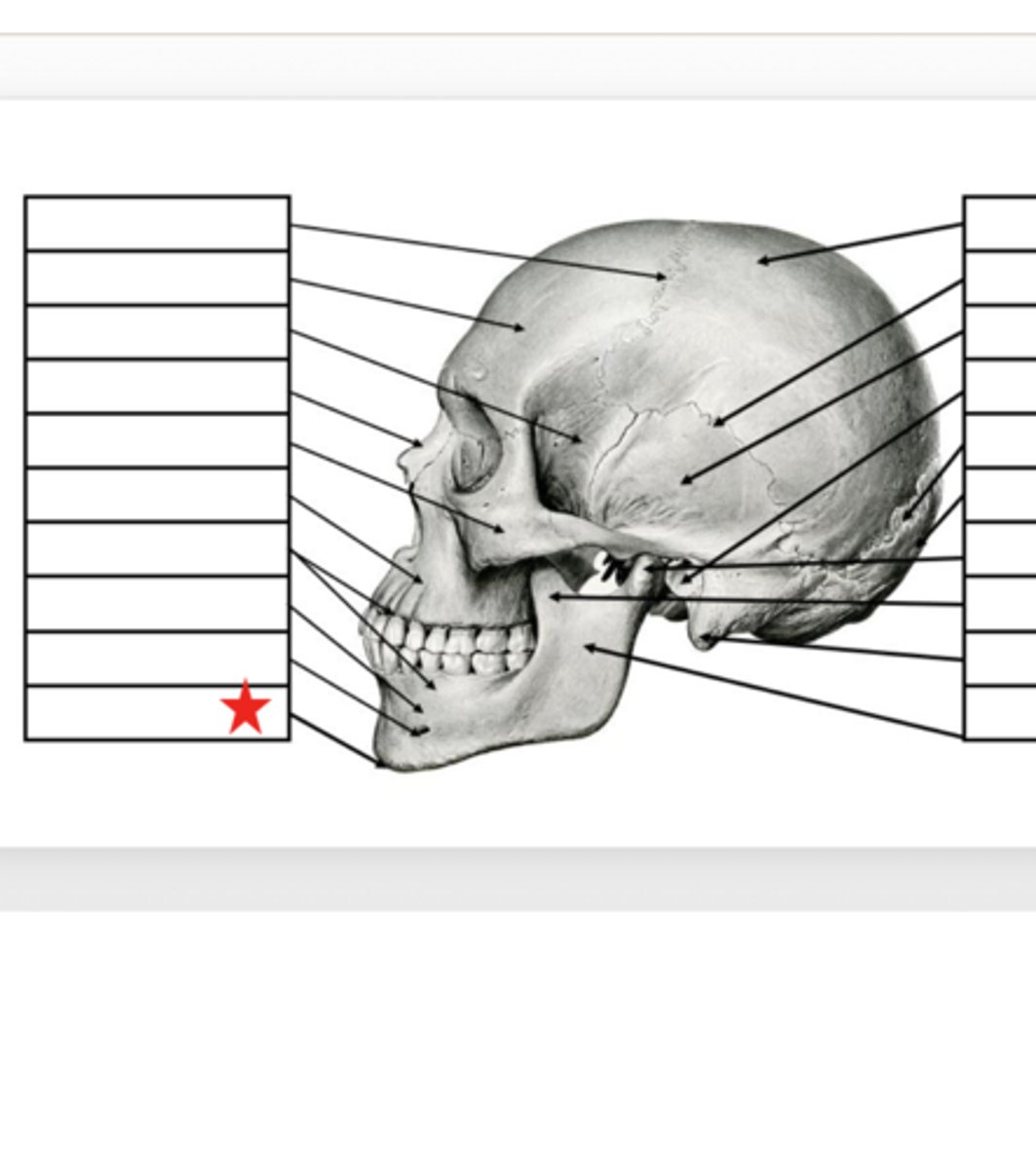 <p>What is this?</p>