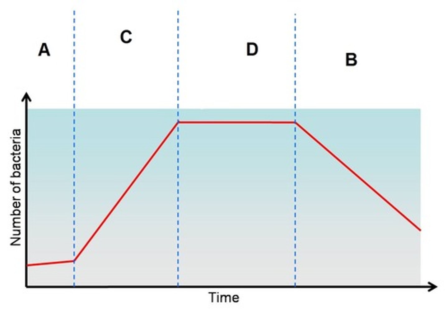 <p>A semilog plot</p><p>Lag phase</p><p>Exponential phase</p><p>Stationary phase</p><p>Death phase</p>