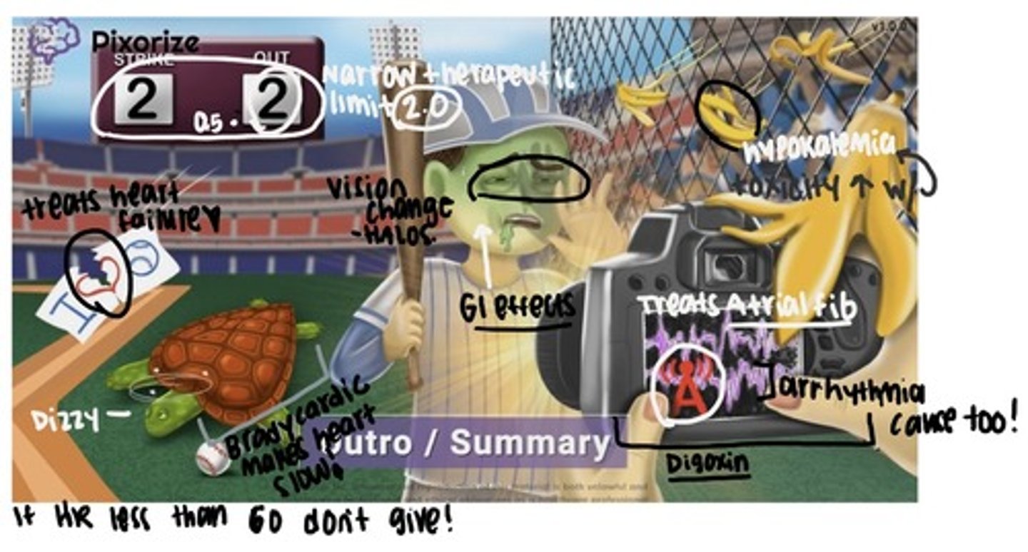 <p>Indication: treat HR symptoms, artial fib and flutter, and atrial tachycardia </p><p>Adverse: cardiac dysrhythmias, digoxin toxicity </p><p>Early sign of toxicity: GI symptoms (n/v, anorexia), CNS symptoms (fatigue, visual disturbance, yellow vision and blurred vision), increase mortality in women </p><p>Toxic above 2.0</p><p>Intervention: </p><p>- Take apical pulse for 1 min before administering digoxin, withhold drug if pulse falls below 60/ min in adults </p><p>- For severe digoxin toxicity, digoxin immune FAB (Digibind) admin IV as an antidote to neutralize digoxin</p><p>- Monitor serum potassium levels </p>