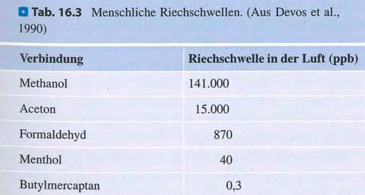 <p><span data-name="brain" data-type="emoji">🧠</span><strong> Kurzfassung:</strong><br>Die <strong>Riechschwelle</strong> ist die <strong>niedrigste Konzentration</strong>, bei der ein Geruch wahrgenommen wird. Manche Stoffe wie <strong>Butylmercaptan</strong> erkennt man bereits bei unter <strong>1 ppb</strong>, andere wie <strong>Methanol</strong> erst bei <strong>über 140.000 ppb</strong> – der Geruchssinn ist extrem empfindlich.</p><div data-type="horizontalRule"><hr></div><p class=""><span data-name="clipboard" data-type="emoji">📋</span><strong> Langfassung:</strong><br>Die <strong>Riechschwelle</strong> bezeichnet die geringste Konzentration eines Geruchsstoffs, die eine Person noch wahrnehmen kann. Sie wird häufig im <strong>Zwangswahlverfahren</strong> getestet, bei dem eine Person zwischen zwei Proben entscheiden muss – eine mit und eine ohne Geruchsstoff. Die Schwelle gilt als erreicht, wenn die Person <strong>in 75 % der Fälle</strong> korrekt liegt (mehr als Zufall).</p><p class=""></p><p class="">Die <strong>Empfindlichkeit</strong> hängt stark vom jeweiligen Stoff ab.<br>Zum Beispiel:</p><ul><li><p class=""><strong>Butylmercaptan</strong>, das Erdgas zugesetzt wird, ist bereits in <strong>unter 1 Teil pro Milliarde (ppb)</strong> riechbar.</p></li><li><p class=""><strong>Aceton</strong> benötigt etwa <strong>15.000 ppb</strong> zur Wahrnehmung.</p></li><li><p class=""><strong>Methanol</strong> sogar etwa <strong>141.000 ppb</strong>.</p></li></ul><p class=""></p><p class="">Das zeigt: Der <strong>Geruchssinn ist sehr empfindlich</strong>, aber seine Sensitivität hängt stark vom Molekültyp ab.</p>