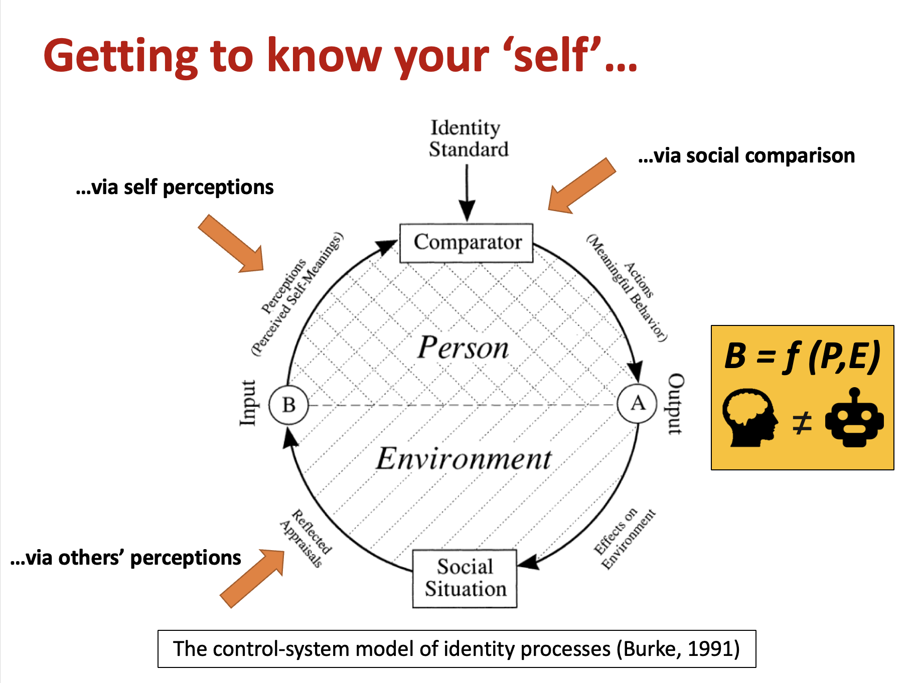 <ul><li><p>Social situation</p><p>→ Triggers reflected appraisals/other’s perceptions </p></li><li><p>Input</p><p>→ Triggers self perceptions</p></li><li><p>Comparator: compares input w/ identity standard</p><p>→ Change behaviour to align w/ identity standard, change identity standard, or change perception</p></li><li><p>Output</p><p>→ Effects on environment</p></li><li><p>Influences social situation (loop)</p></li></ul><p></p><p></p>