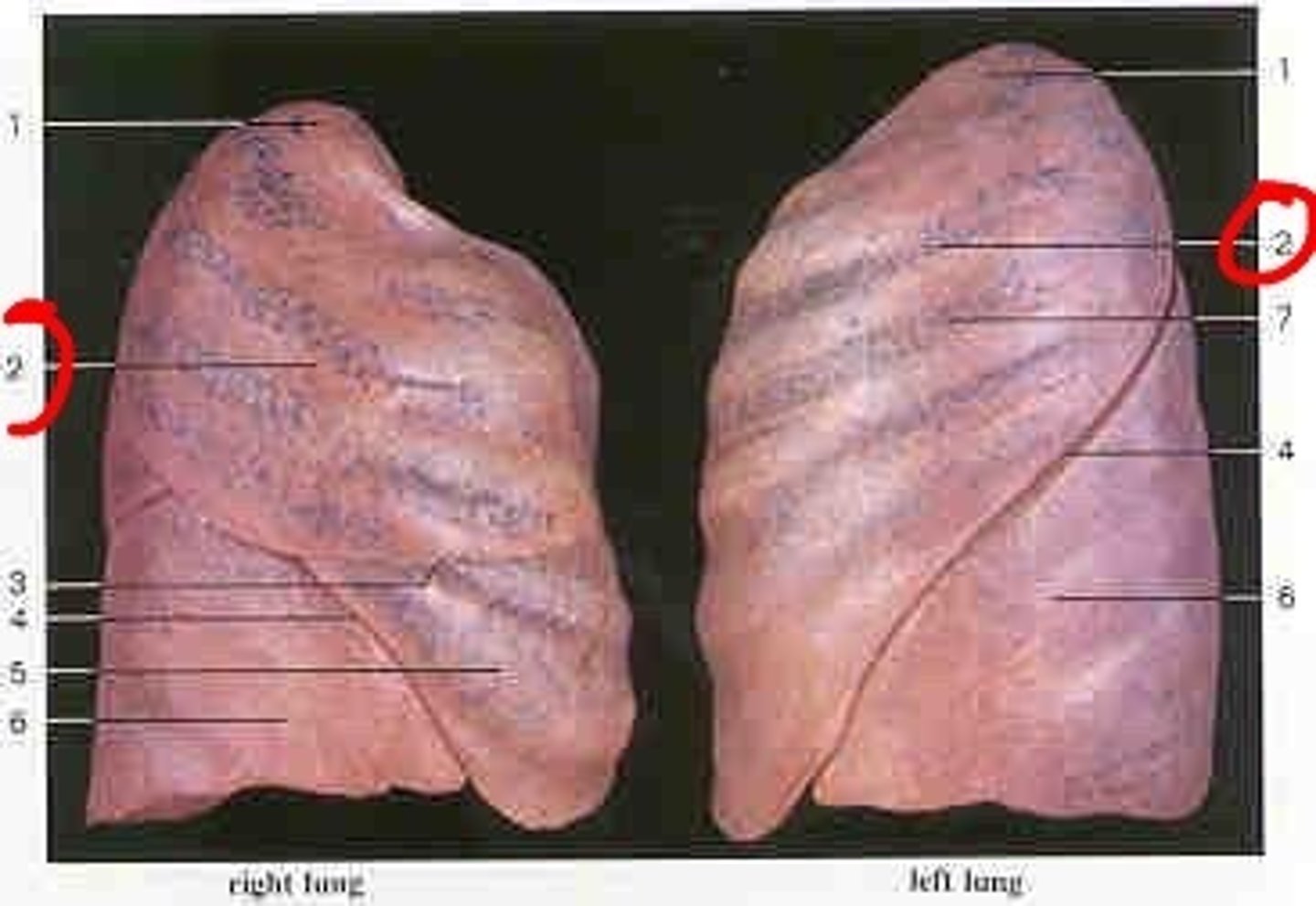 <p>what are these surfaces?</p>