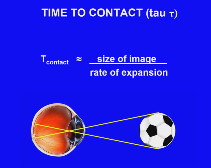 <p>Size of image / Rate of expansion</p>