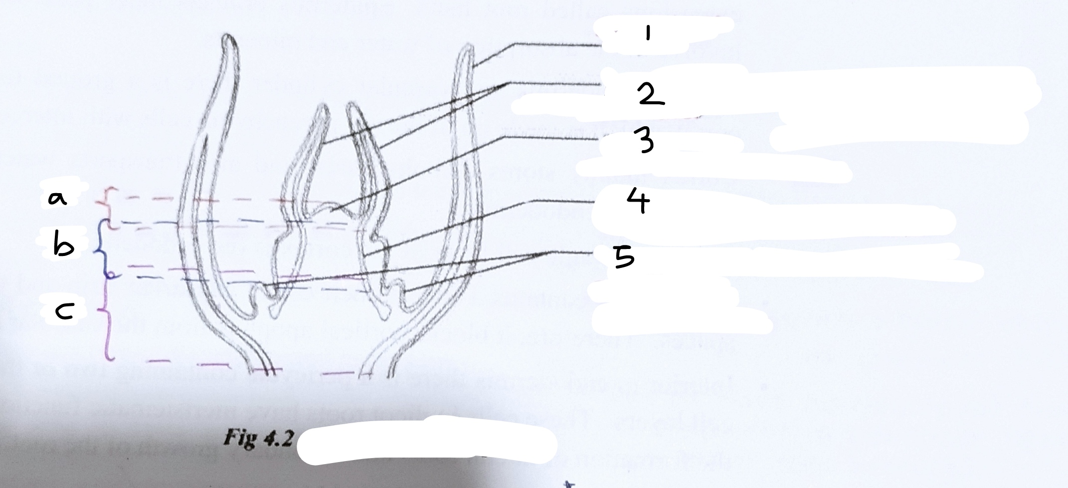 <p>Write what parts are labelled and what the overall diagram is</p>