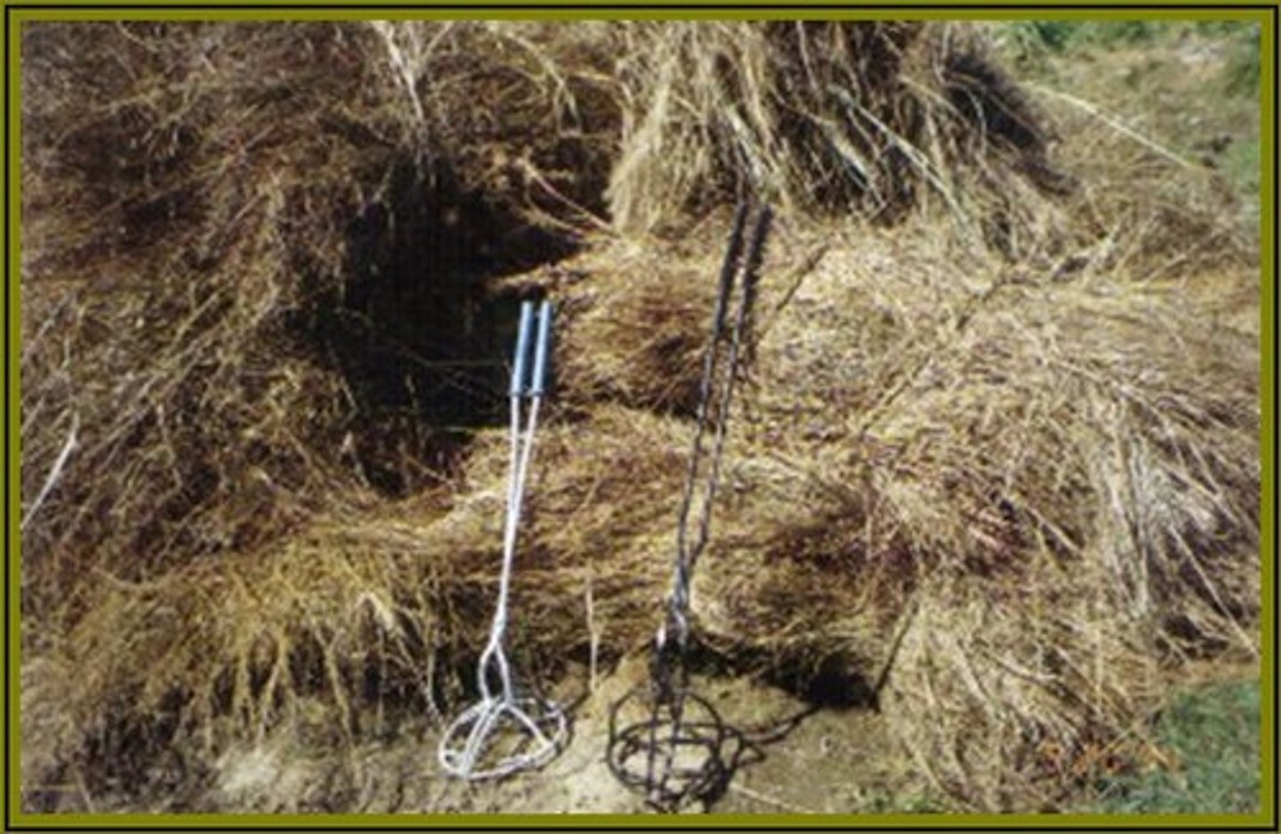 <p>(n.) food for horses or cattle; raw material for a designated purpose</p>