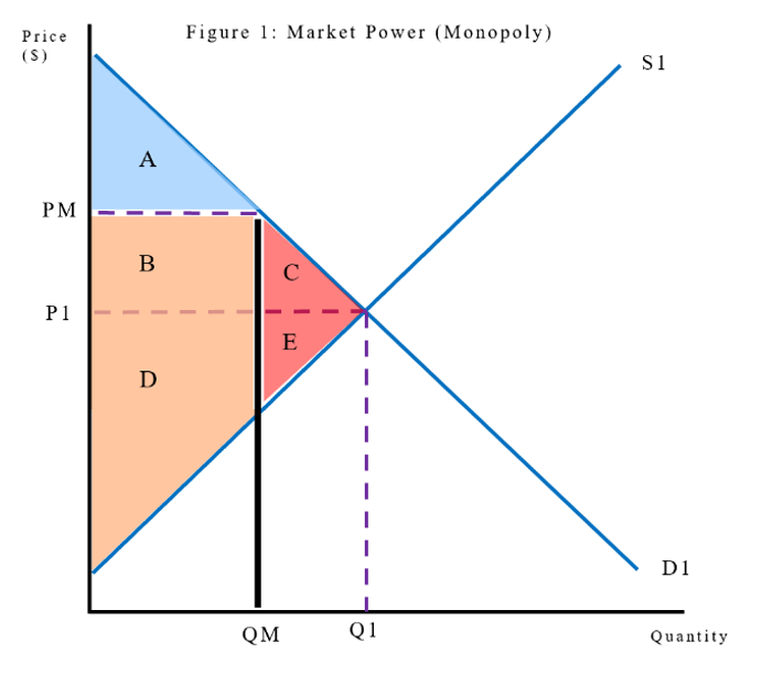 <p>In Figure 1, a free competitive market would be at S1, D1 at equilibrium Q1, P1. </p><p>At this point, total surplus is maximised with consumer surplus equal to ABC and producer surplus equal to DE. </p><p>If a firm gains market power and becomes a monopoly, quantity is restricted (contracts) from Q1 to QM. This therefore increases price from P1 to PM. </p><p>As a result, consumer surplus decreases to A due to consumers paying a higher price for a lower quantity and producer surplus change is indeterminate at BD as though the firm receives a higher price, they are selling a lower quantity. </p><p>The idea would be for the restricted quantity, and therefore higher price, to increase PS (profits for producers); however, if not done correctly, it may actually decrease PS due to too little demand (depends on how much output is reduced + resulting price). </p><p>As there is underproduction and consumption in the market, DWL (loss of potential total surplus) occurs equal to CE (the market is not operating efficiently and society is worse off). </p>
