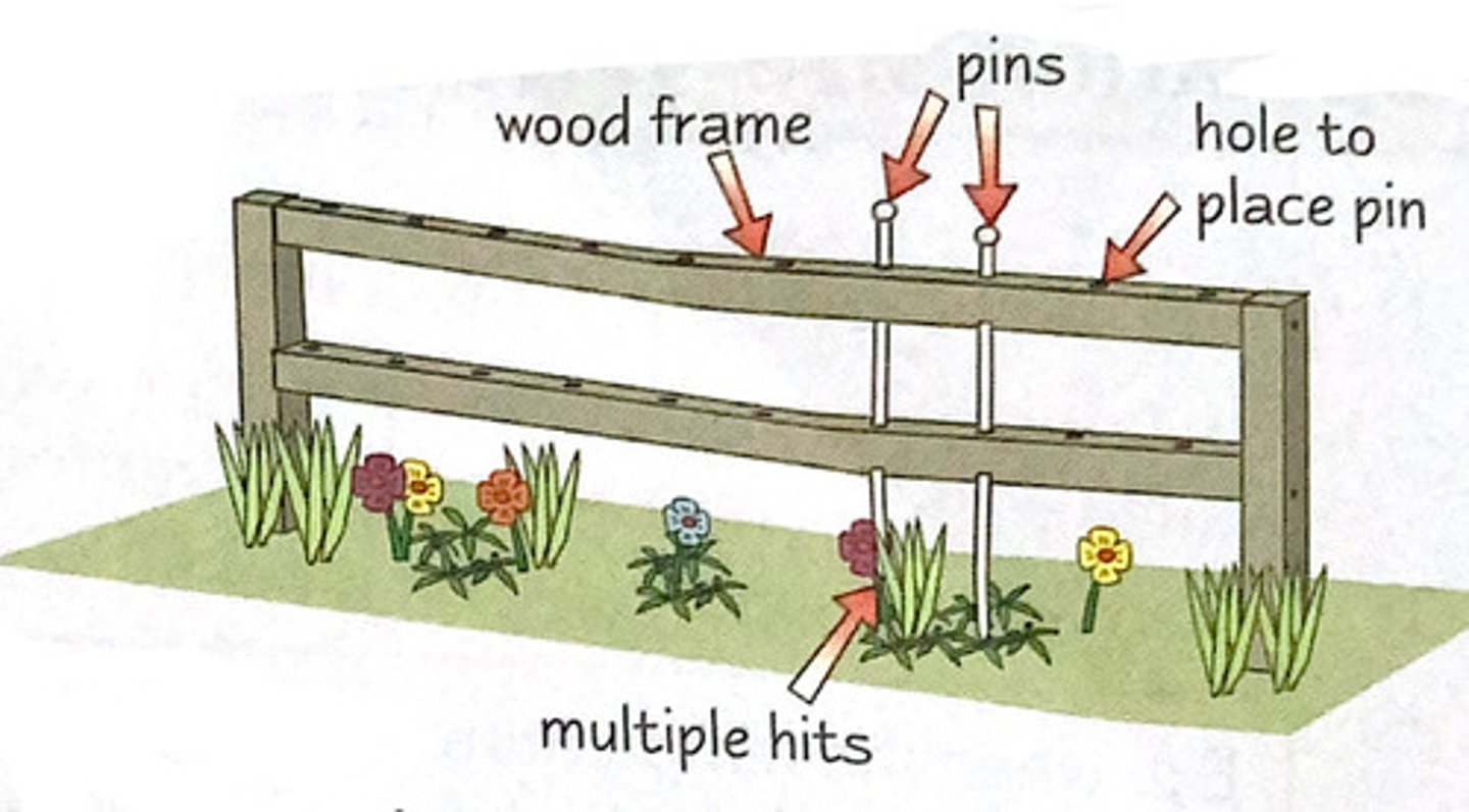 <p>Only count the organism that its pins are touching as it is hitting the floor</p>