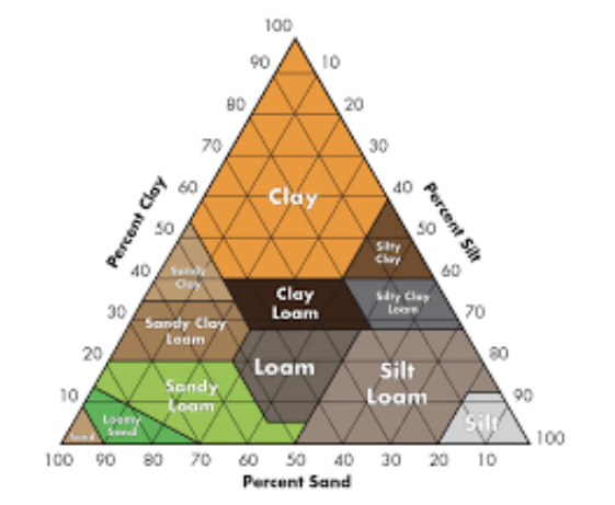 <ol><li><p><span><strong>Sand</strong>: The largest soil particles (0.05 mm – 2 mm), which provide good drainage and aeration but low nutrient retention.</span></p></li><li><p><span><strong>Silt</strong>: Medium-sized particles (0.002 mm – 0.05 mm), which retain moisture and nutrients but are prone to compaction.</span></p></li><li><p><span><strong>Clay</strong>: The smallest soil particles (less than 0.002 mm), which hold moisture and nutrients but have poor drainage.</span></p></li></ol><p></p>