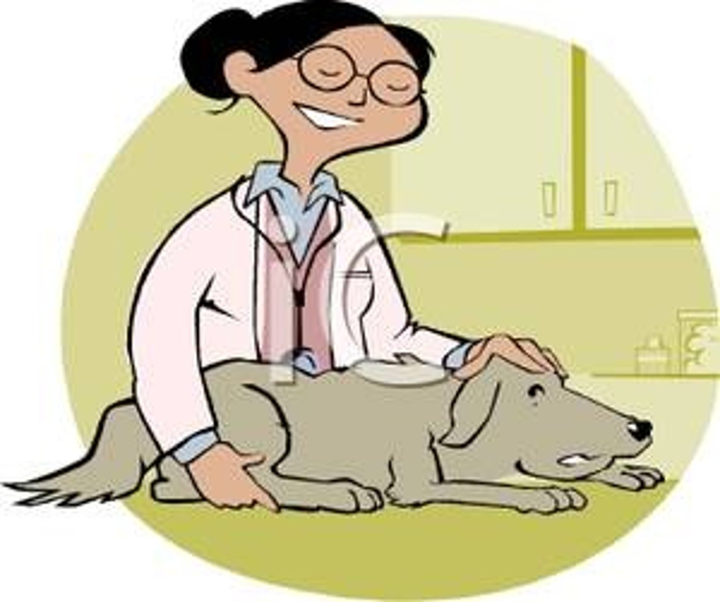 <p>a veterinarian; "animal doctor"</p>