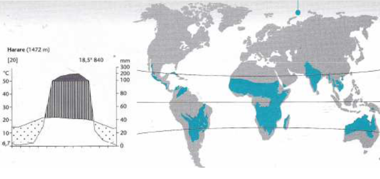 <p>Forêts sèches tropicales et savanes tropicales&nbsp;</p>