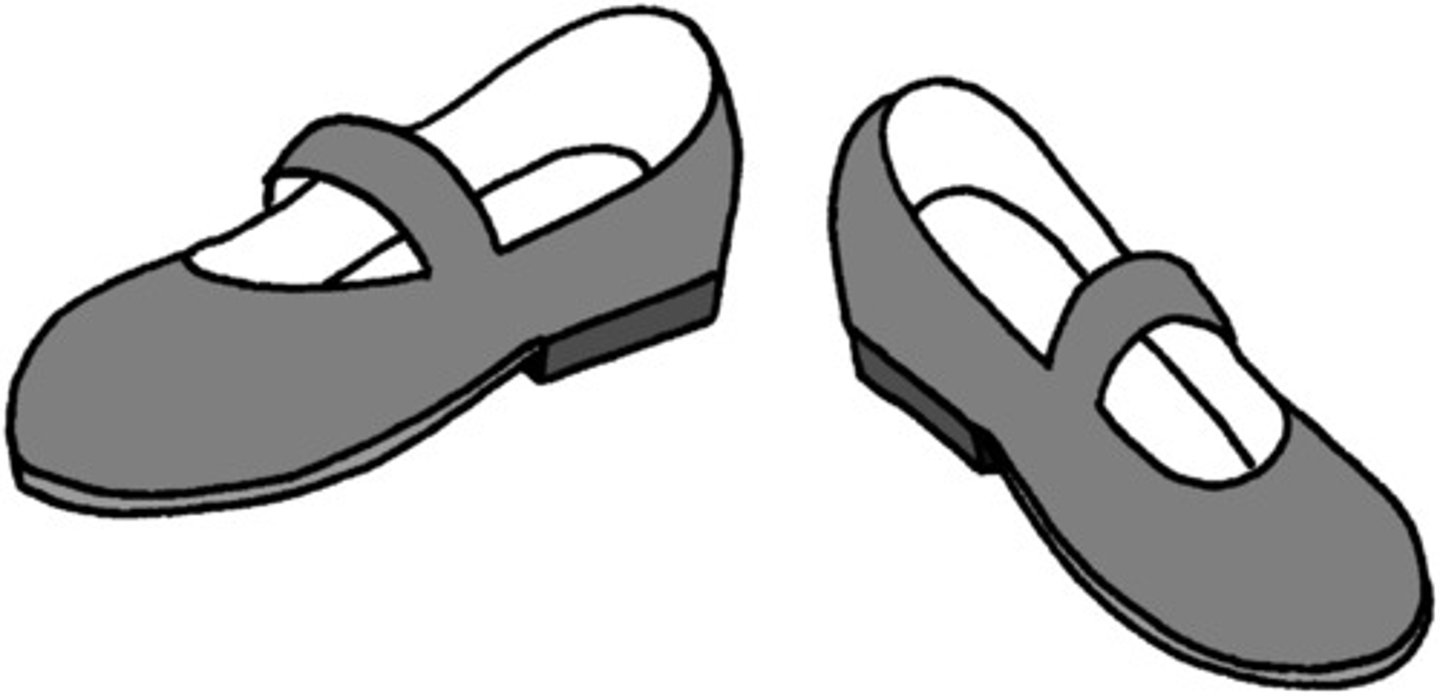 <p>shoes</p>