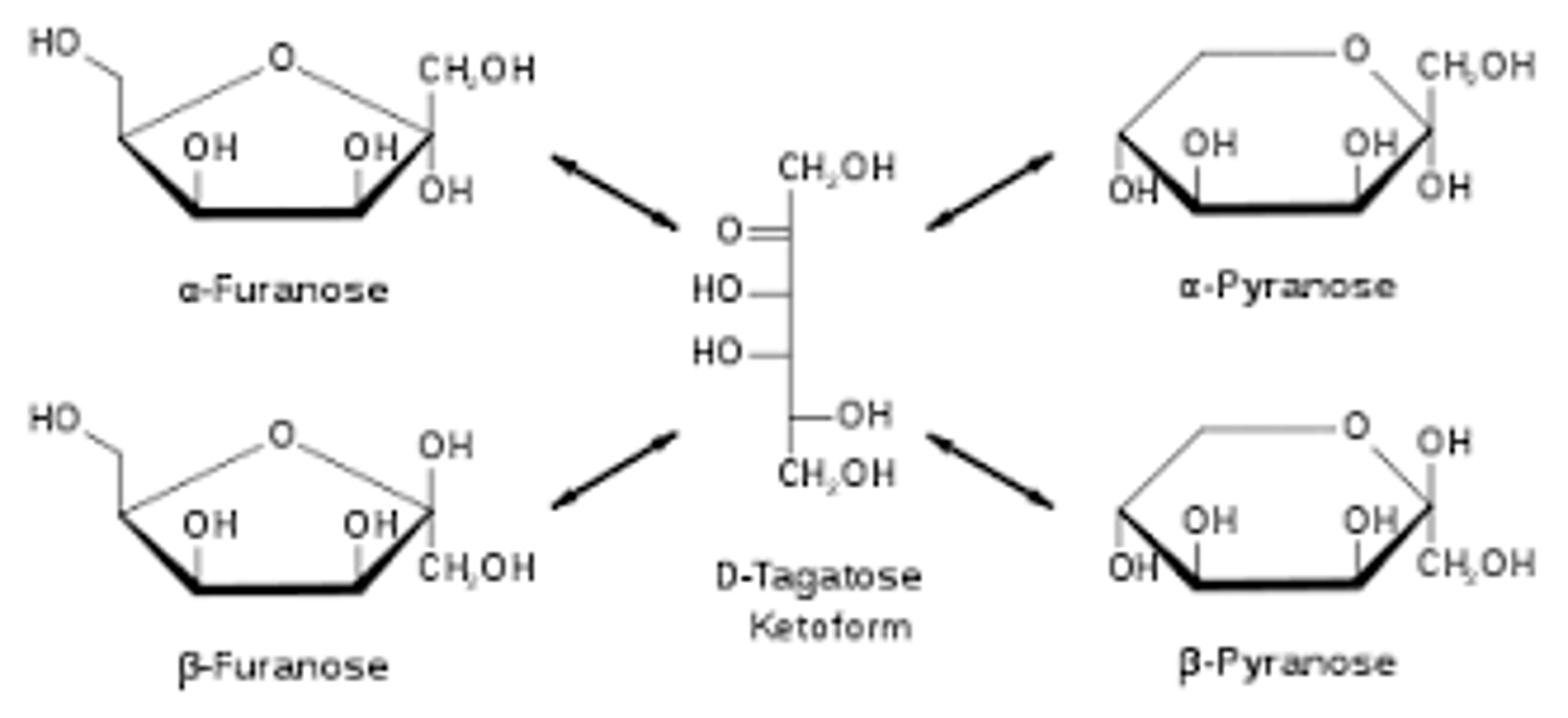 <p>The key difference is that a pyranose is a 6-membered ring with one O in the ring, whereas the furanose is a 5-membered ring with one O in the ring.</p>