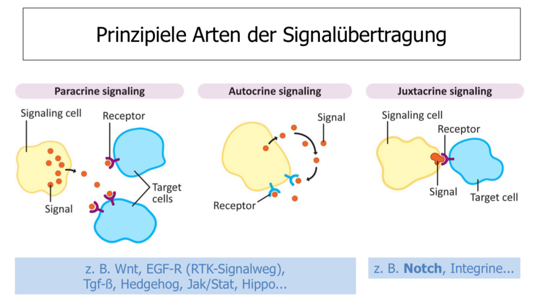 <p>Zusammenspiel ist wichtig</p>