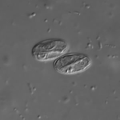 <p>What does this image show?</p>