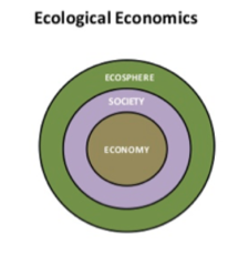 <p>Treats economics as a component of ecological systems.</p>