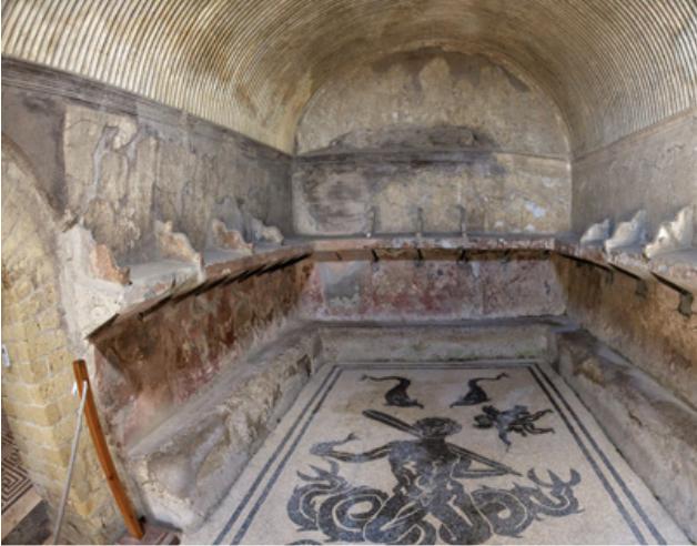 The floor mosaic of the tepidarium in the Forum Baths at Herculaneum