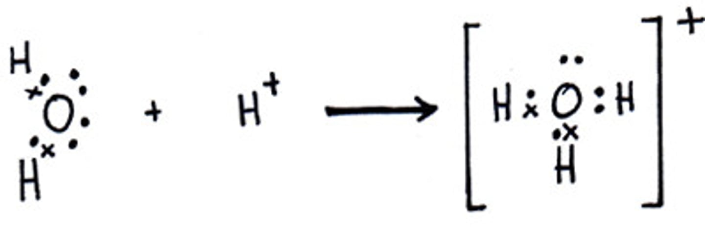 <p>- This represents the donation of a shared pair of electrons from a lewis base (H2O) to a lewis Acid (H+, electron Acceptor)</p>