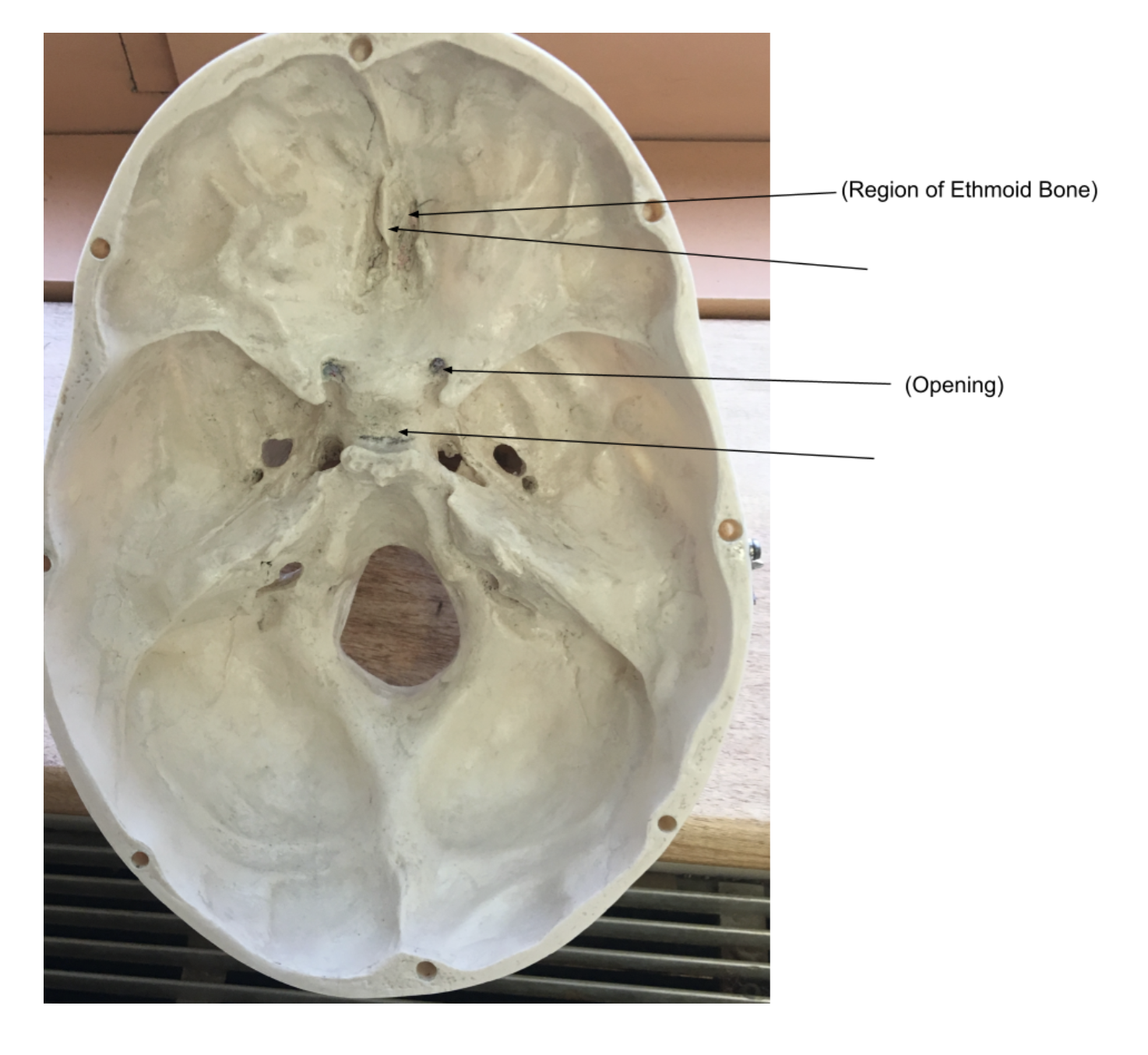 <ol><li><p></p></li><li><p></p></li><li><p></p></li><li><p></p></li></ol><p></p>
