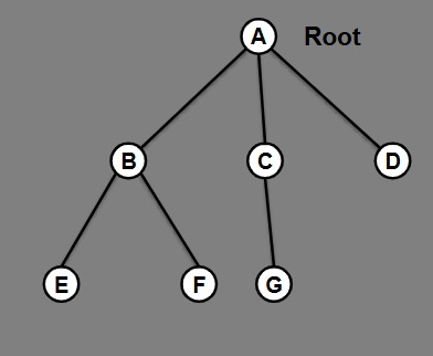 <p>What is the adjacency list for this tree?</p>