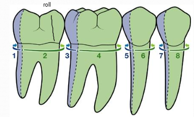 knowt flashcard image