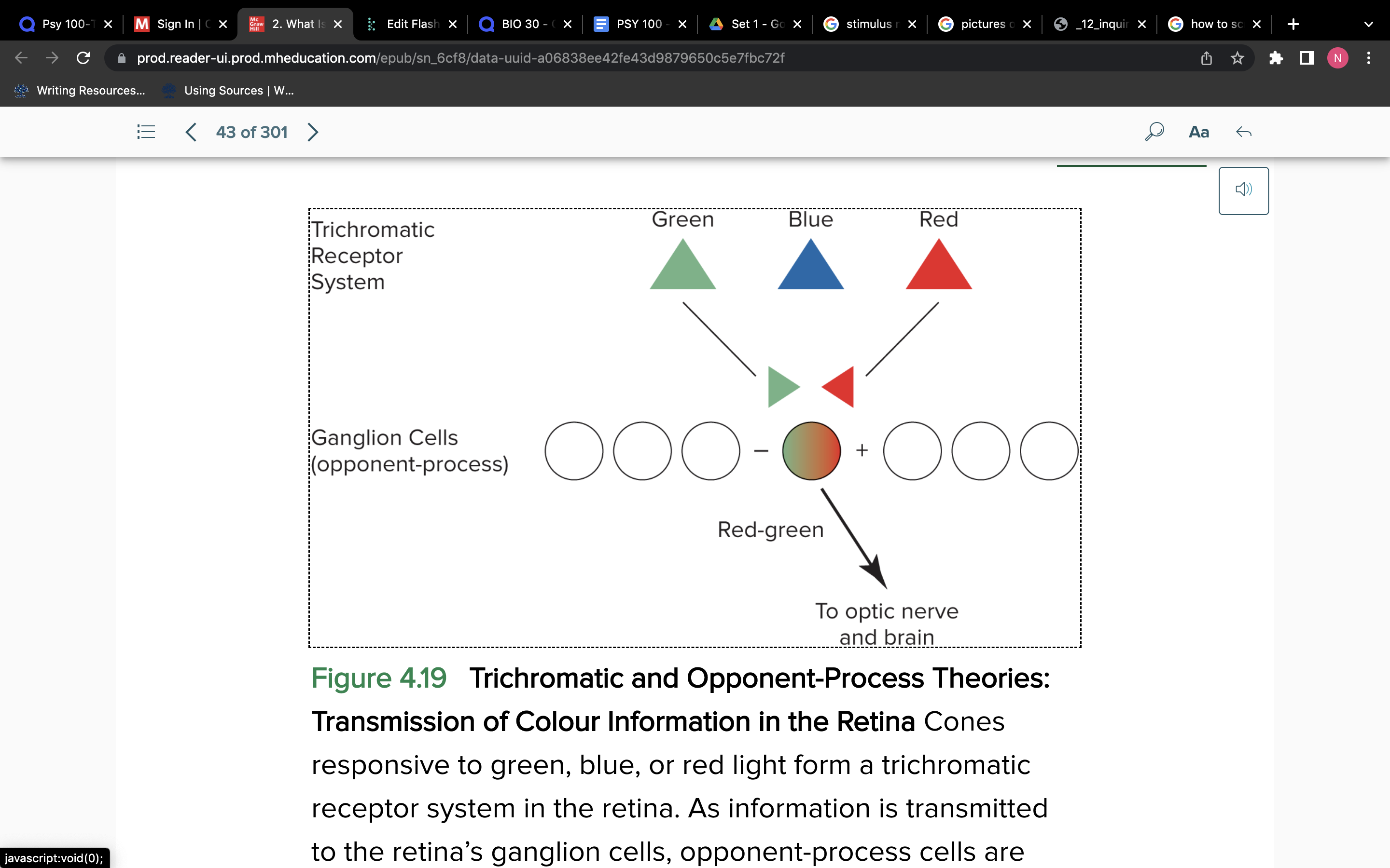 <p>Red blue and green cones in the retina are connected to retinal ganglion cells in a way that the three-colour code theory is immediately translated into the opponent process theory</p><ul><li><p>Red cone can excite and green cone can inhibit ganglion cells</p></li></ul>