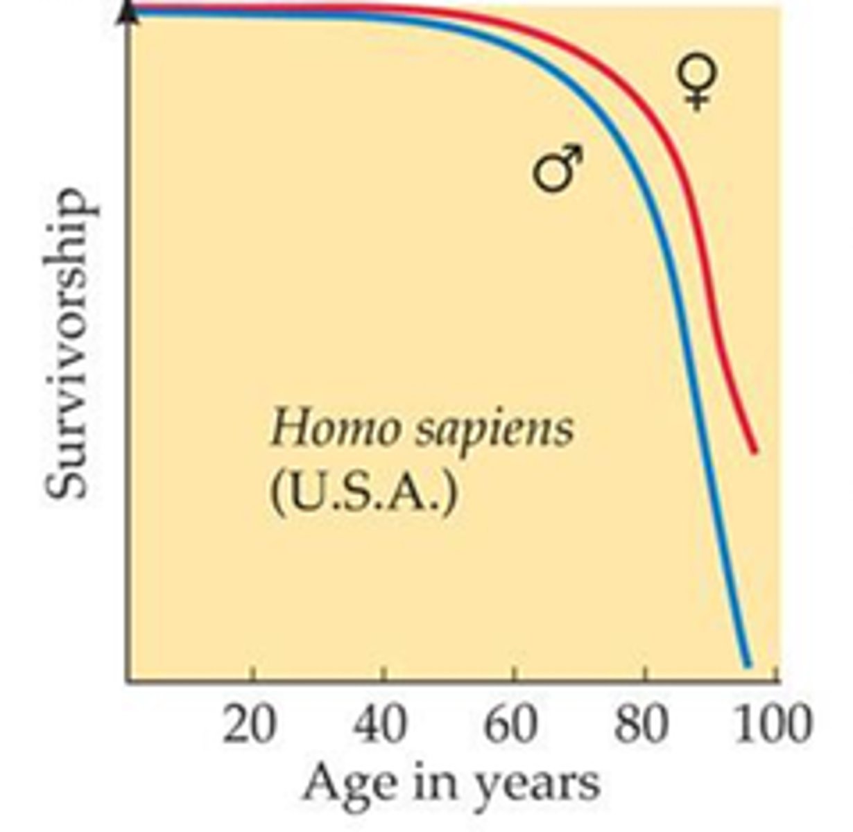 <p>Species that produce a few, often fairly large offspring but invest a great deal of time and energy to ensure that most of those offspring reach reproductive age.</p>