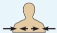 <p>Between a more medial and a more lateral structure.</p>