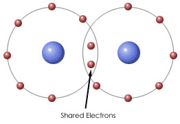 <p>bond in which two atoms share electrons; each atom counts the e- as a part of its valence shell</p>