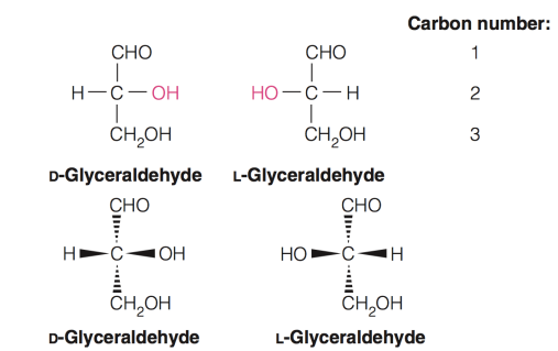 <ul><li><p><span><strong>Fischer projections</strong> (top) are the most compact way to represent stereochemistry</span></p></li><li><p><span>The<strong> wedge- dash representations</strong> of D- and L-glyceraldehyde are also shown</span></p></li></ul><p></p>
