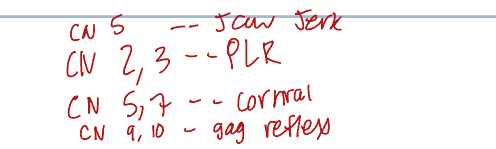 knowt flashcard image