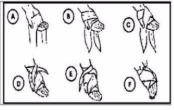 <p>what is this bandage for</p>