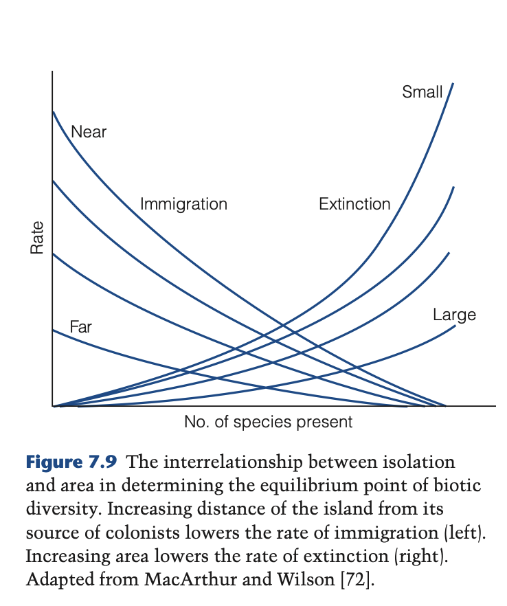 <ul><li><p>theory of island biogeography = number of species on an island is the result of dynamic equilibrium between species becoming extinct</p></li><li><p>biota affected by degree of isolation</p></li><li><p>rate of immigration balanced by rate of extinction</p></li><li><p>may take time to establish equilibrium </p></li><li><p>theory does not always work </p></li><li><p>Warren et al., 2015</p></li></ul><p></p>
