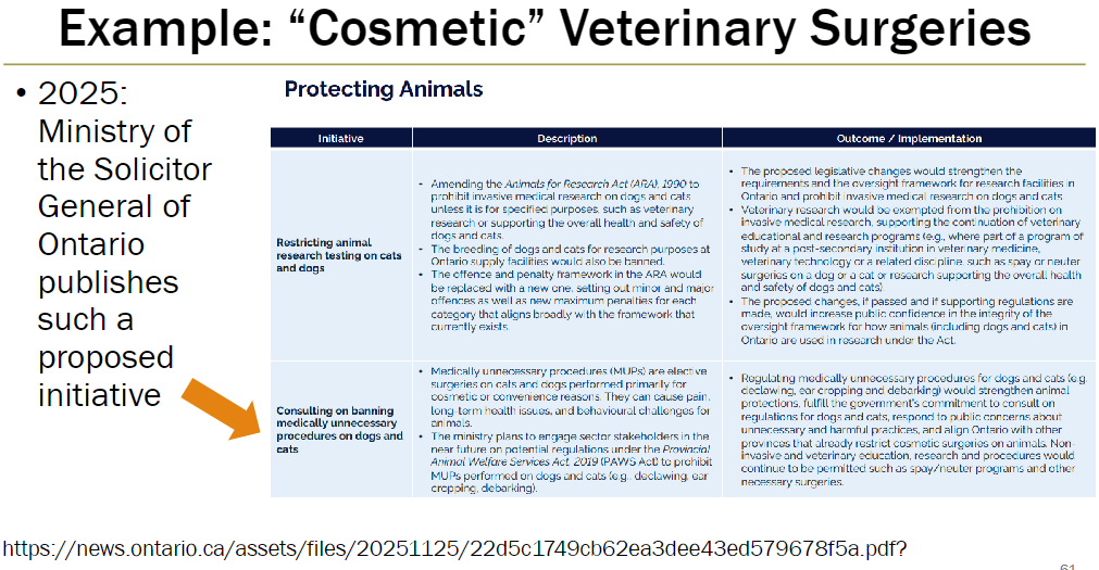 <p><strong>Proposed Initiative</strong><br> In 2025, the Ministry of the Solicitor General of Ontario published a proposed initiative related to medically unnecessary veterinary surgeries</p>