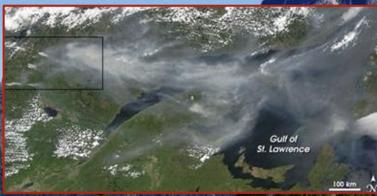 Wildfires increase the number of particulates in the atmosphere, and these can persist for weeks.

\
Increases of airborne particles and haze can be observed thousands of km downwind of large fires. 