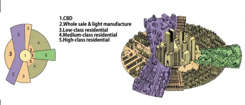 <p>A model of a city’s internal organization, developed by Homer Hoyt, that focuses on transportation and communication as the divers of the city’s layout</p><p>Zones:</p><ol><li><p>CBD</p></li><li><p>Manufacturing and industry</p></li><li><p>Low-income residential</p></li><li><p>Middle'-income residential</p></li><li><p>high-income residential</p></li></ol><p>Findings:</p><ul><li><p>People move to higher income residential zones as they gain wealth</p></li><li><p>The zones expand outward like sectors (or pie slices) from the CBD so almost all zones have some overlap with the CBD</p></li></ul><p></p>