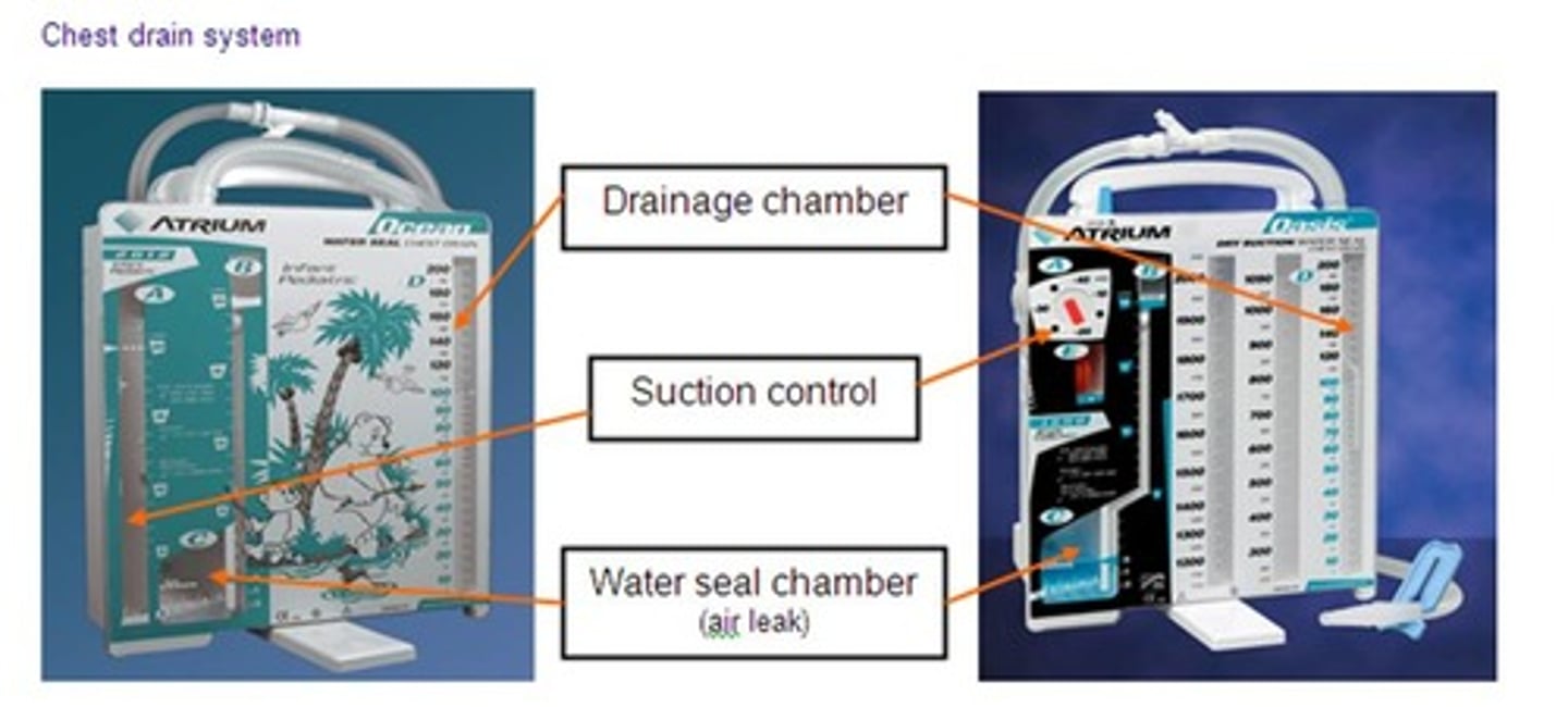 <p>-Keep the HOB elevated at least 30 degrees.<br>-Change positions every 2 hours; ambulate every 4-6 hours.<br>-KEEP THE CHEST TUBE BELOW THE LEVEL OF THE PATIENT AT ALL TIMES!<br>-Administer pain meds to control pain...Chest tubes are NOT comfortable.<br>-Prevent kinking or occlusion of the drainage tubing.<br>-Assess O2 sat and keep above 90 % .<br>-Assess chest wall rise and fall. SHOULD be symmetrical if chest tube is working properly<br>-Assess for tracheal alignment...tracheal deviation is a serious<br>complication! Notify the provider immediately!<br>-Do not "strip" chest tubes.<br>-Assess for bubbling and tidaling.<br>-Maintain prescribed suction and water level.<br>-Assess characteristics of drainage... more bloody... less bloody...more yellow/green...sudden stoppage of drainage?<br>-Document the amount of drainage each shift under output.<br>-We put marks on the drainage system to denote each shift<br>output.</p>