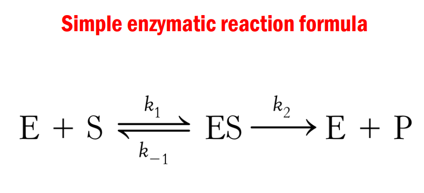 <ul><li><p><span style="color: yellow"><em>This part is the enzyme substrate complex, this is formed when the enzyme and substrate binds.</em></span></p></li><li><p><span style="color: yellow"><em>Now your your ESC no longer a substrate but not yet a product.</em></span></p></li><li><p><span style="color: yellow"><em>So here you will observe it is still reversible. Pag hindi ma meet ang energy required then your ES they can revet or dissociate, If ma meet an energy demand then it can proceed to this, we can form a product.</em></span></p></li><li><p><span style="color: yellow"><em>Remember that in enzymes they are not consumed in the reaction that they are catalyzed. </em></span></p></li></ul><p></p>