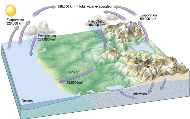 <p>The circulation of Earth’s water supply. Constantly moes through the cycle, changing between liquid, gas, & solid states as it circulates the atmosphere, oceans & lands</p>