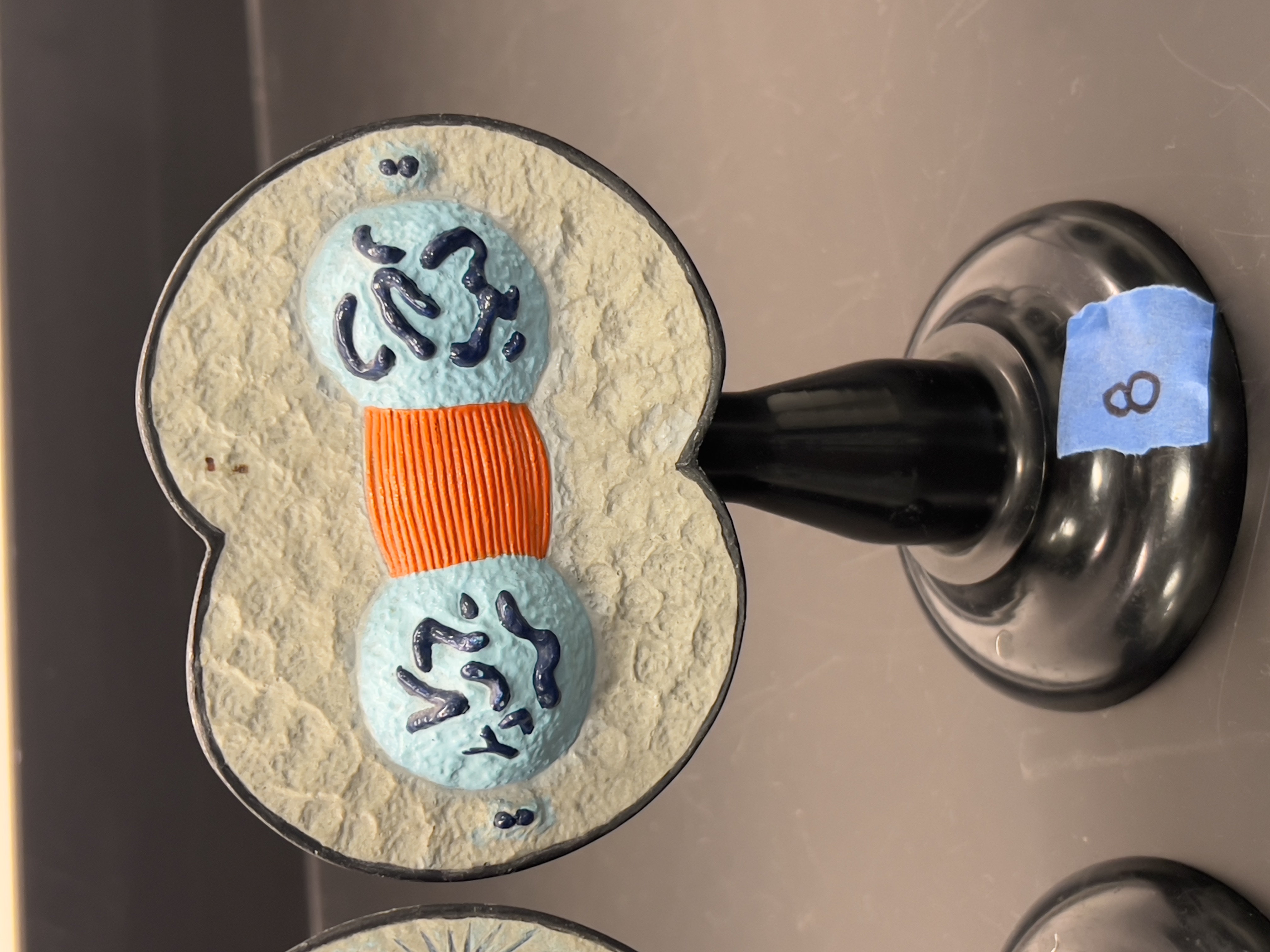 <p>what stage of mitosis?</p>