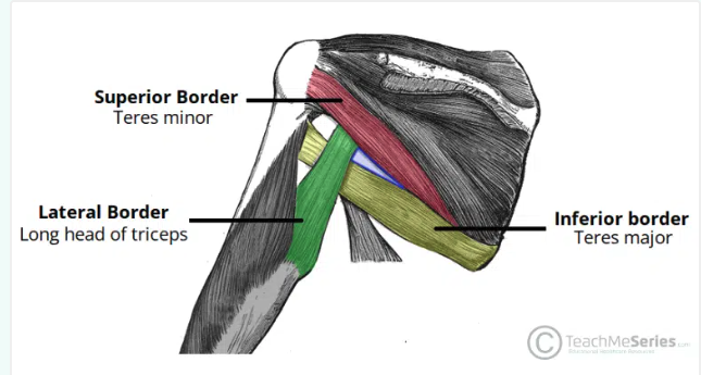 <p>Triangular Space</p>