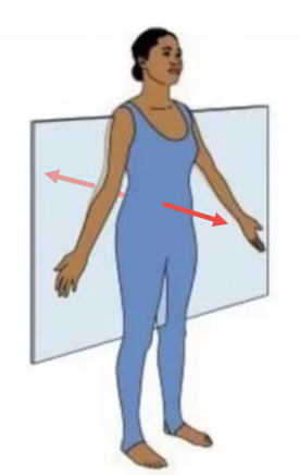 <p>plane &amp; axis</p>