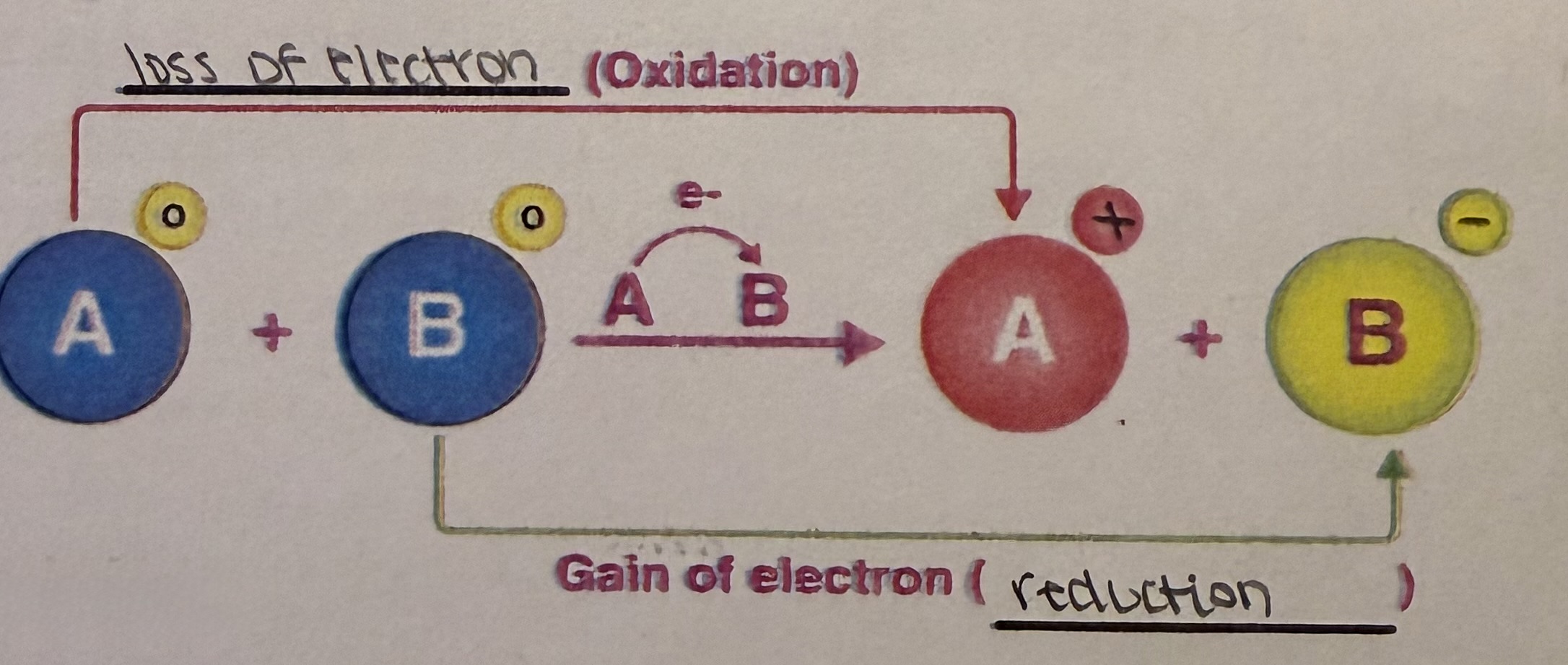 knowt flashcard image