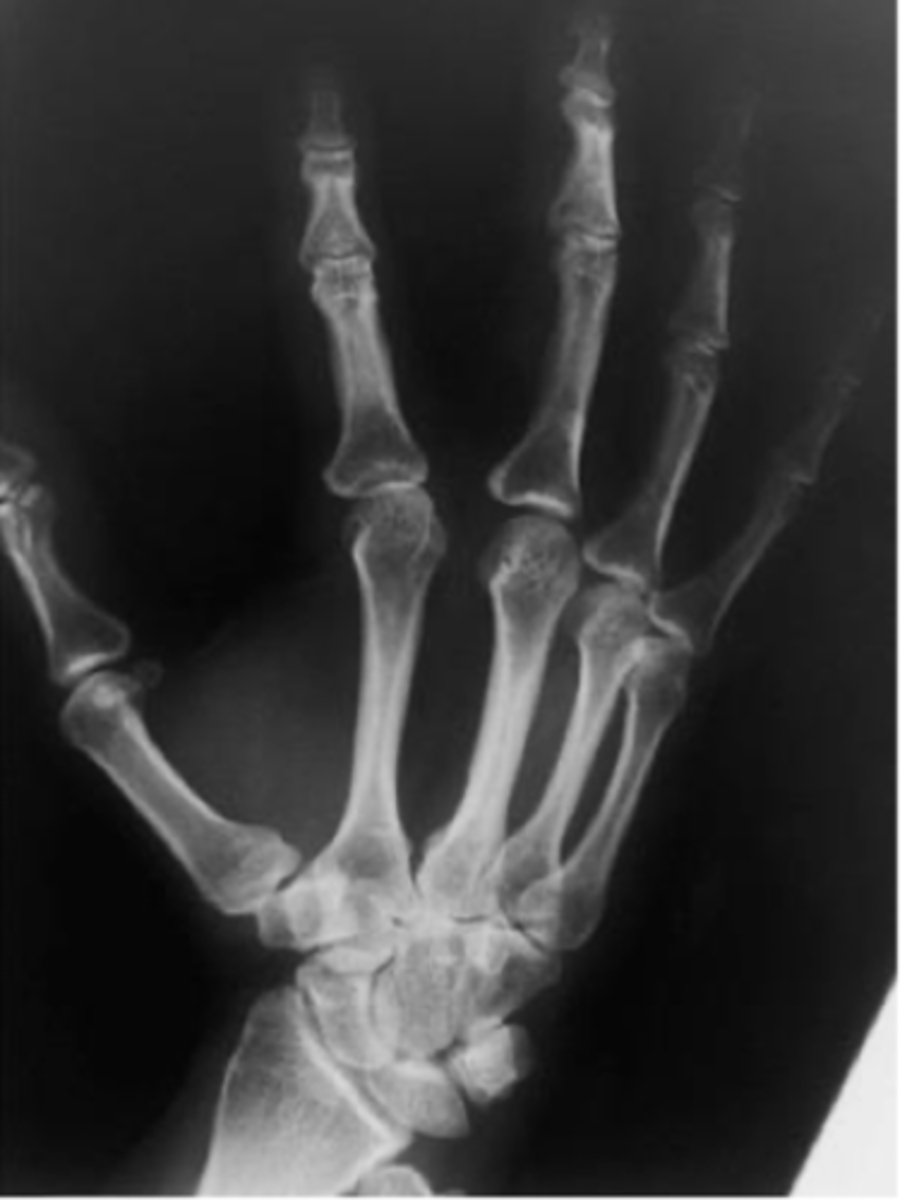 <p>What view is this?</p>