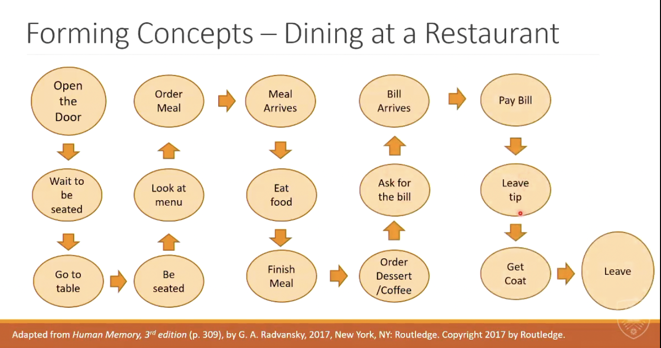 <ul><li><p>based on past explanation of experiences, have an idea of events → schemata</p></li><li><p>based on past experiences, have an idea of order events are going to go in → scripts</p></li></ul><p></p>
