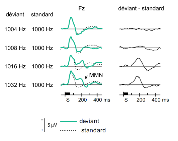 -on présente une série régulière de bips sonores de courte durée espacé chacun d'une seconde
-stimulus standard : 80% des stimuli sont présentés en utilisant une tonalité de 1000 Hz
-stimulus déviant : 20% des stimuli sont présentés en utilisant une tonalité différente (1003 Hz)
-le sujet est passif : il lit un livre sans faire attention aux bips. il ne doit pas détecter le stimulus standard ou déviant afin de mettre en avant les mécanismes bottom-up
-on obtient une courbe de potentiels évoqués pour chaque type de stimulus
-1000 Hz- 1004, notre oreille n'est pas capable de détecter une différence entre les 2 stimuli
-1000 Hz- 1008, on commence à se rapprocher d'une différence qu'on peut percevoir
-1000 Hz- 1016, on continue d'augmenter la différence entre les 2 stimuli. On peut distinguer la différence entre les 2. 
1000 Hz- 1032, la différence reste la même = on est dans un phénomène tout ou rien
-ce qui rend le stimulus déviant ce n'est pas sa fréquence mais la différence de fréquence qu'il présente avec le stimulus standard