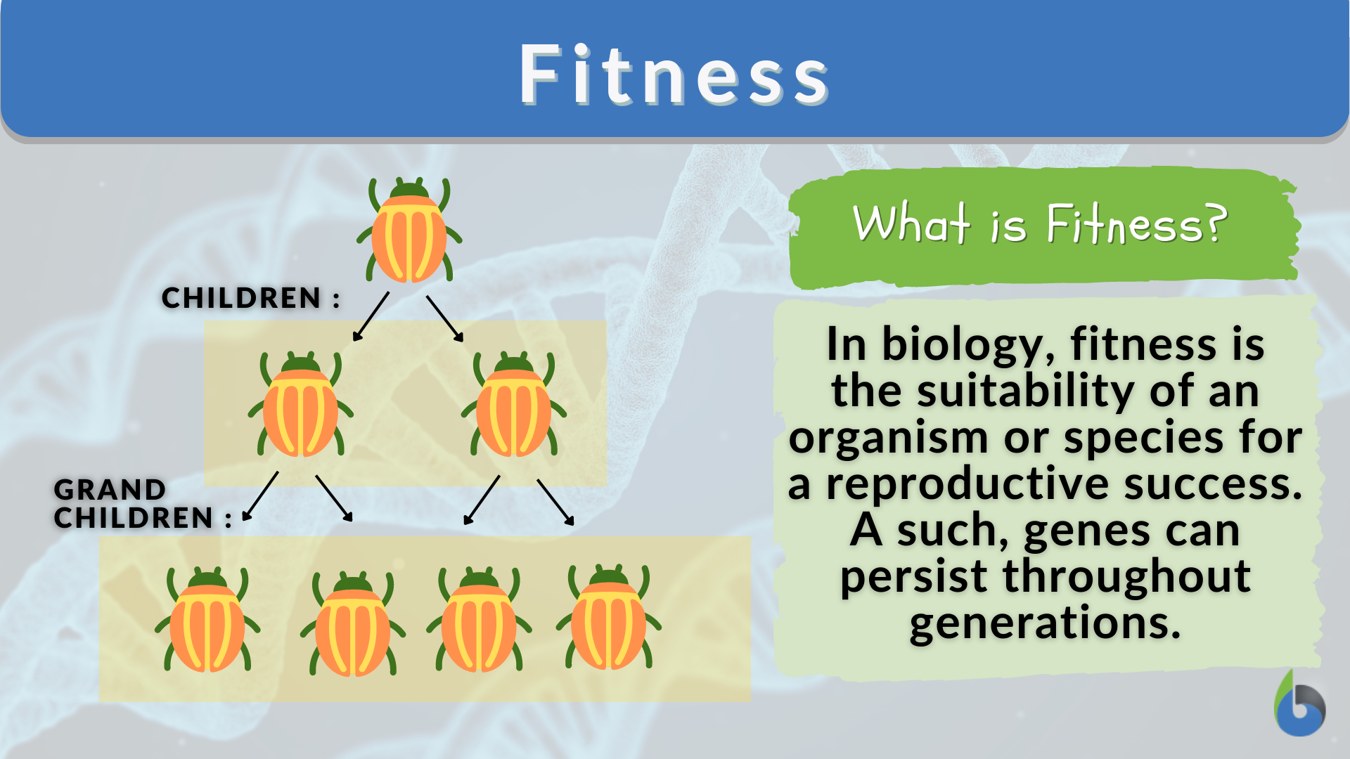 <p><span style="color: #fbb9ff"><strong>How well an organism survives and reproduces in its environment</strong>.</span></p>